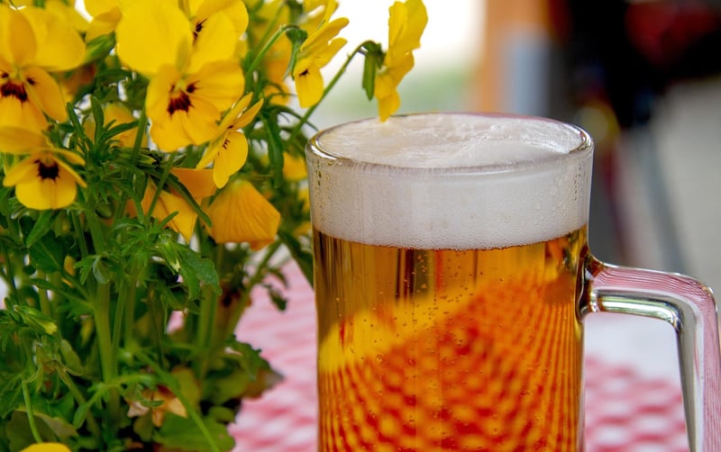 Refreshing Quenchers